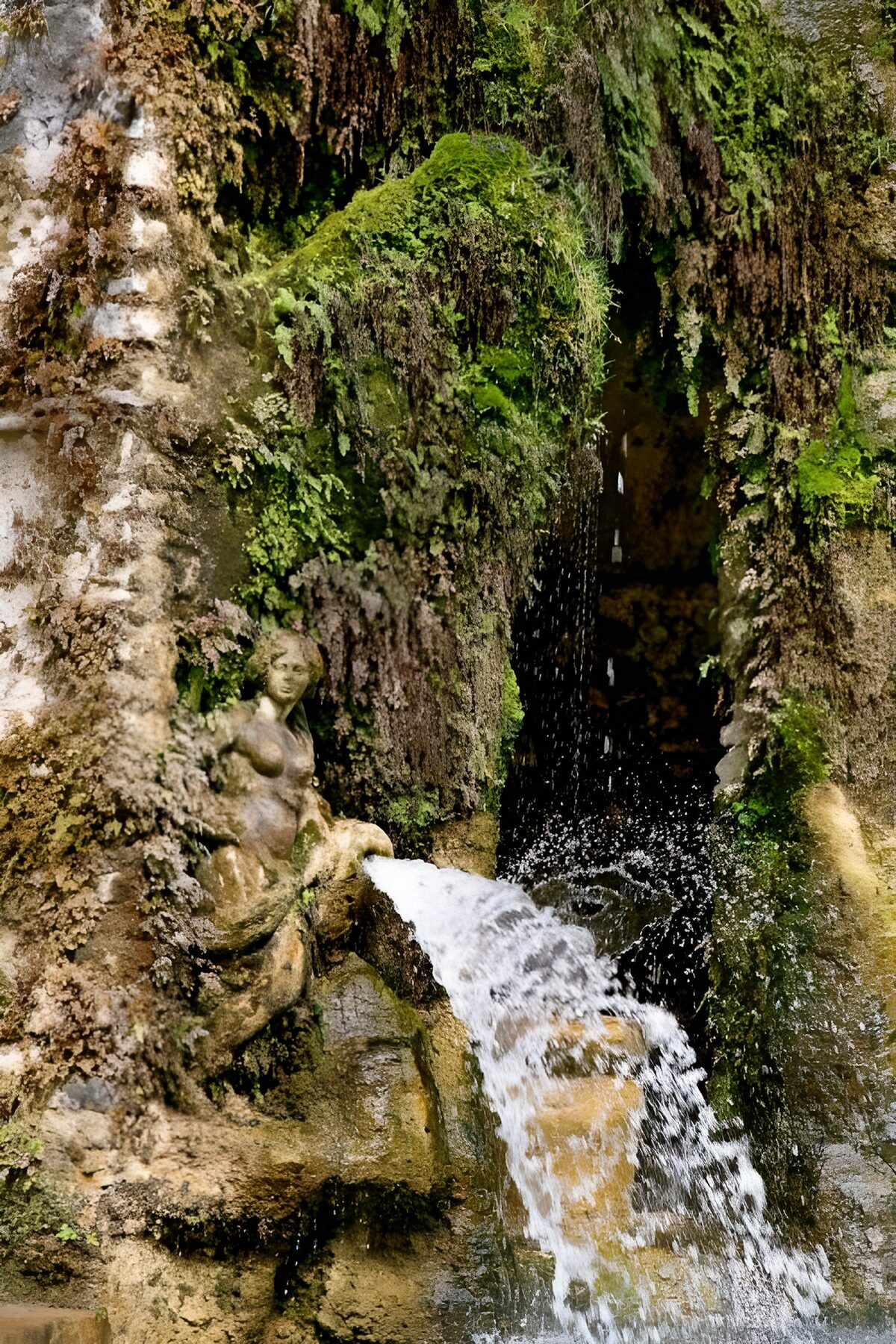 PDGIT6461180: Fontana di pietra tra rocce e muschio