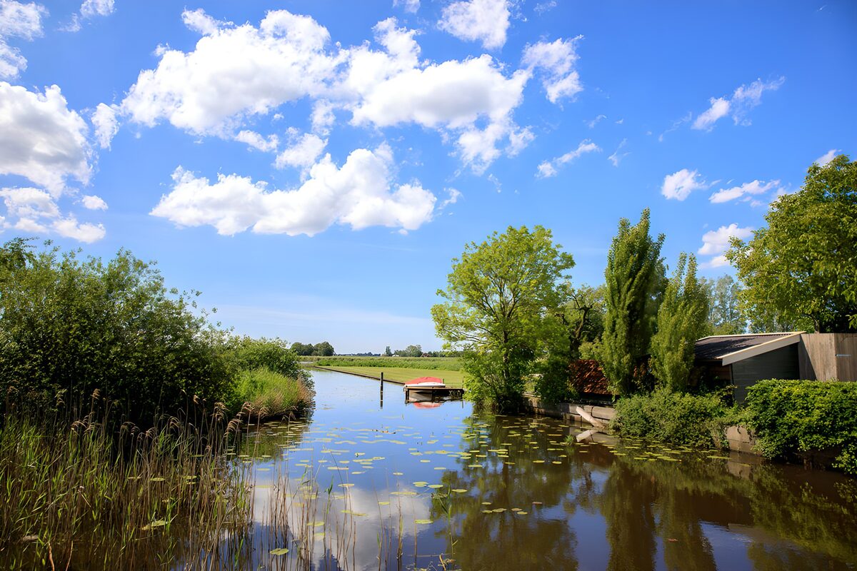 Canale tra canne e ninfee