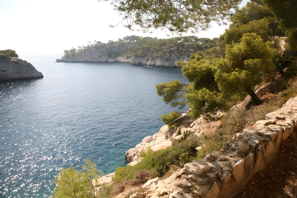 PDGIT7179877: Baia azzurra tra scogliere e pini