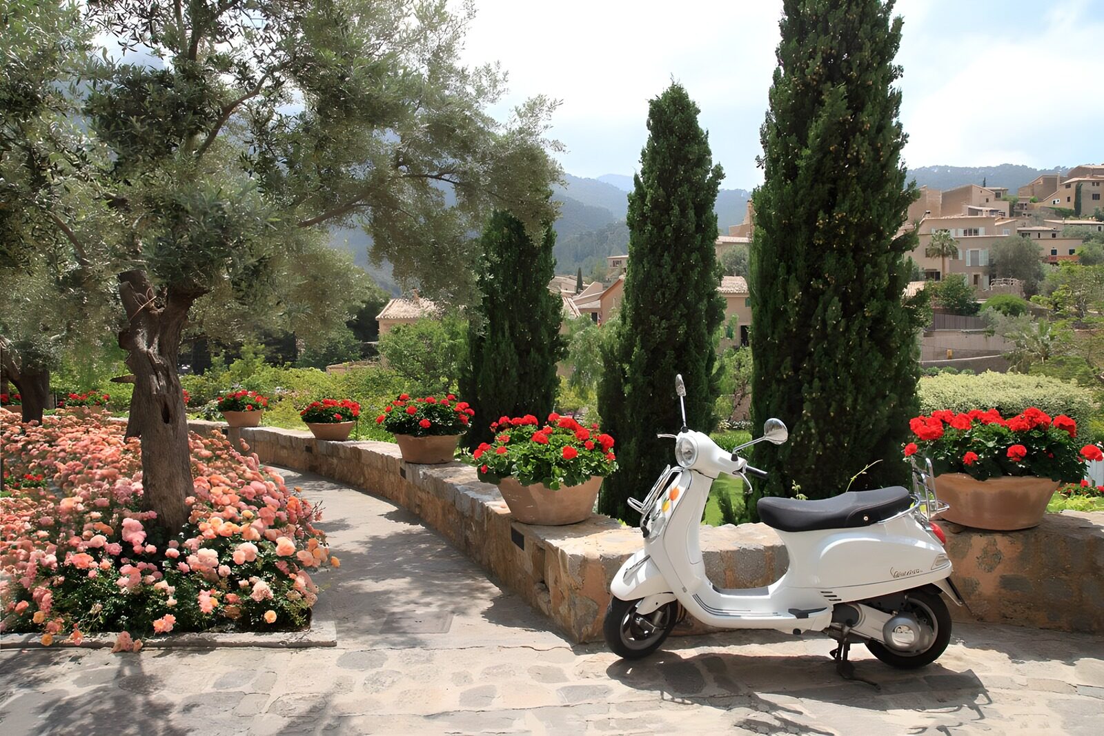 PDGIT7643520: Scooter bianco nel giardino al sole