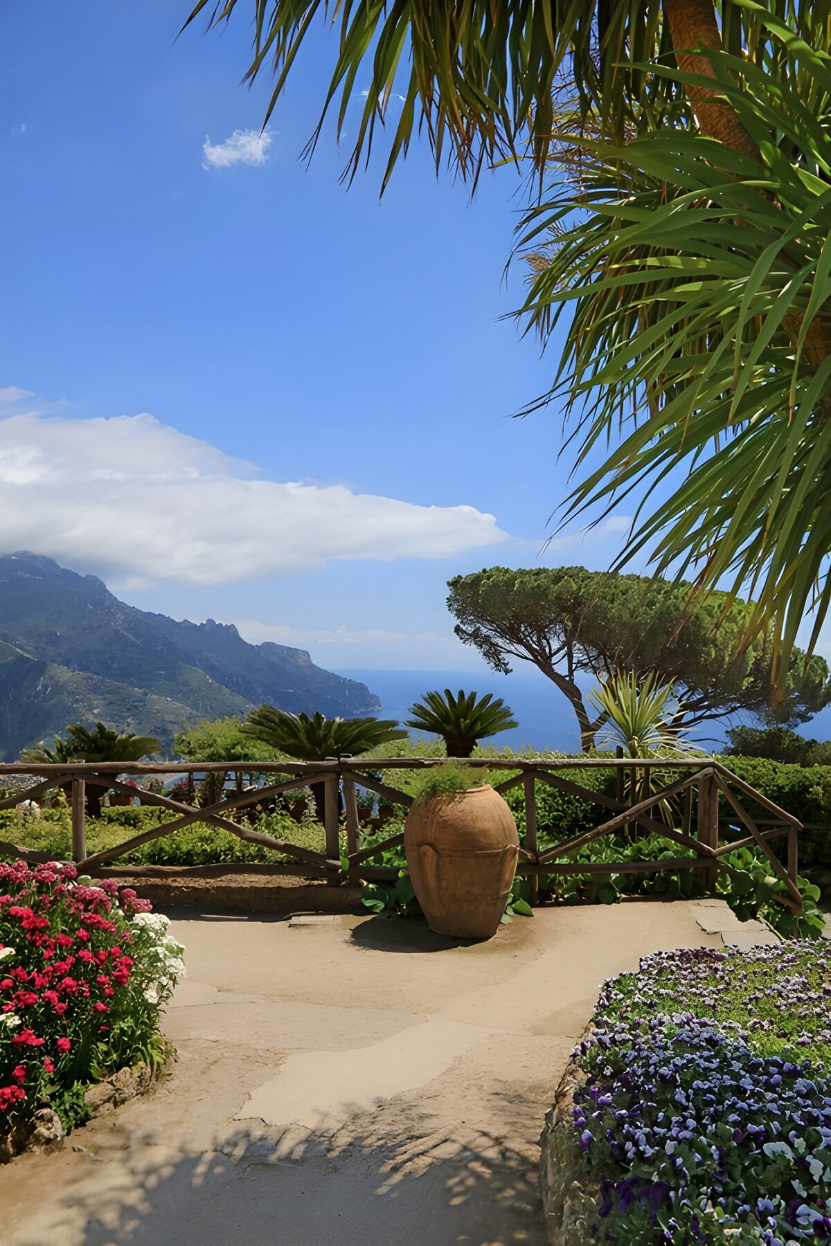 PDGIT5357765: Terrazza fiorita con vista sul mare