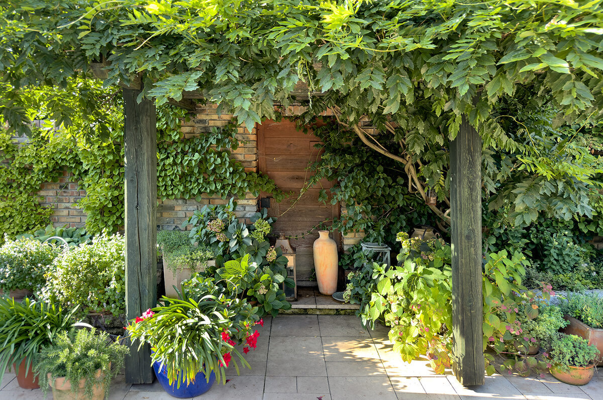 Pergola verde e vasi in un angolo riparato