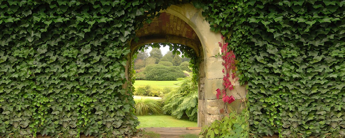 PDGIT6413321: Arco in pietra tra edera e giardino