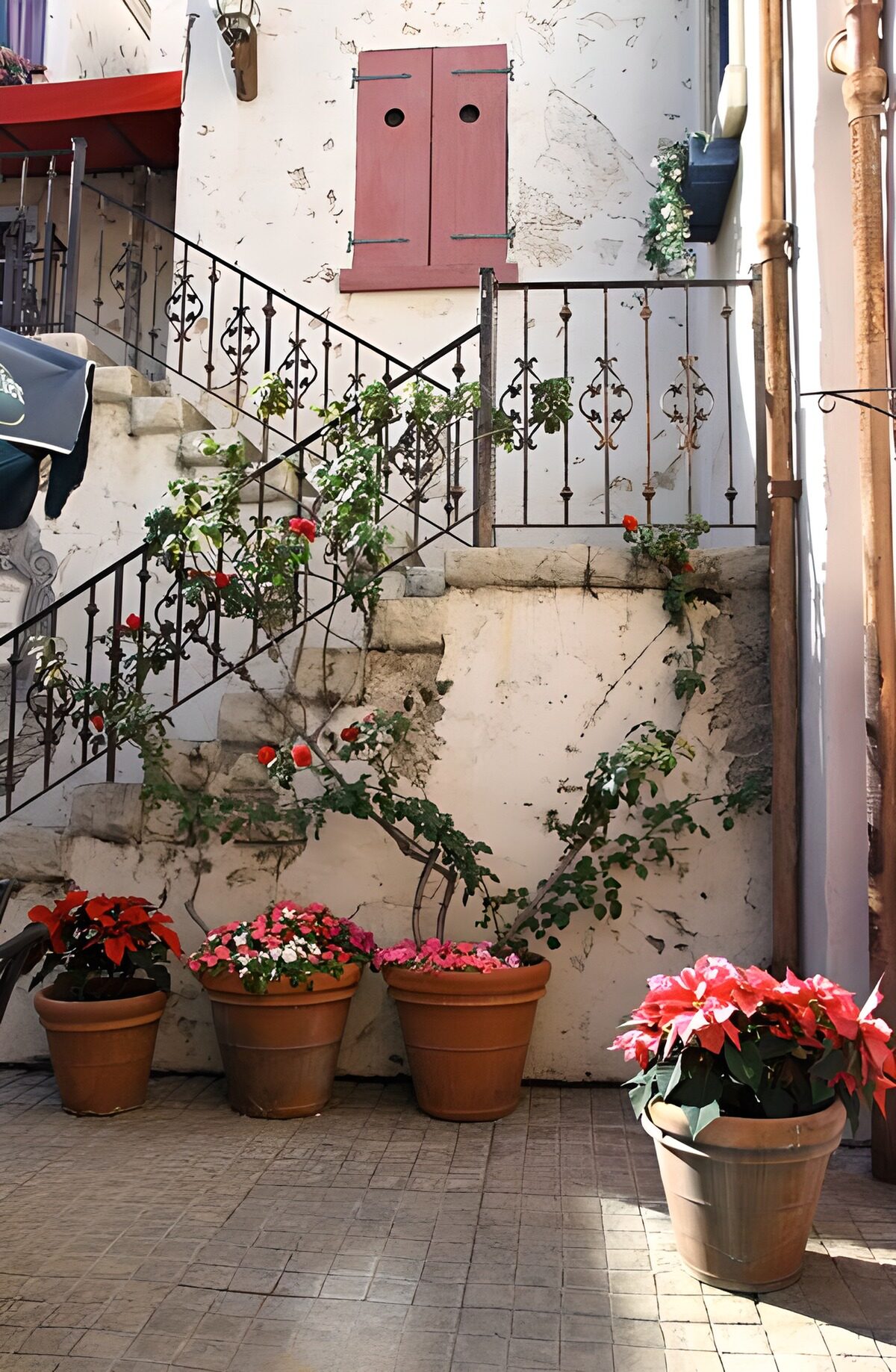 PDGIT3736699: Scala in pietra e vasi di fiori al sole