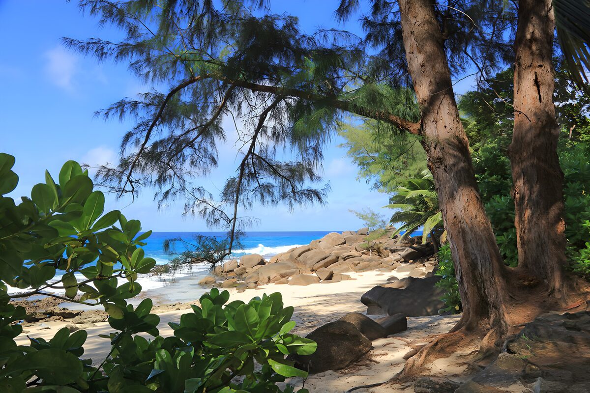 PDGIT9030558: Spiaggia tra rocce e ombre verdi