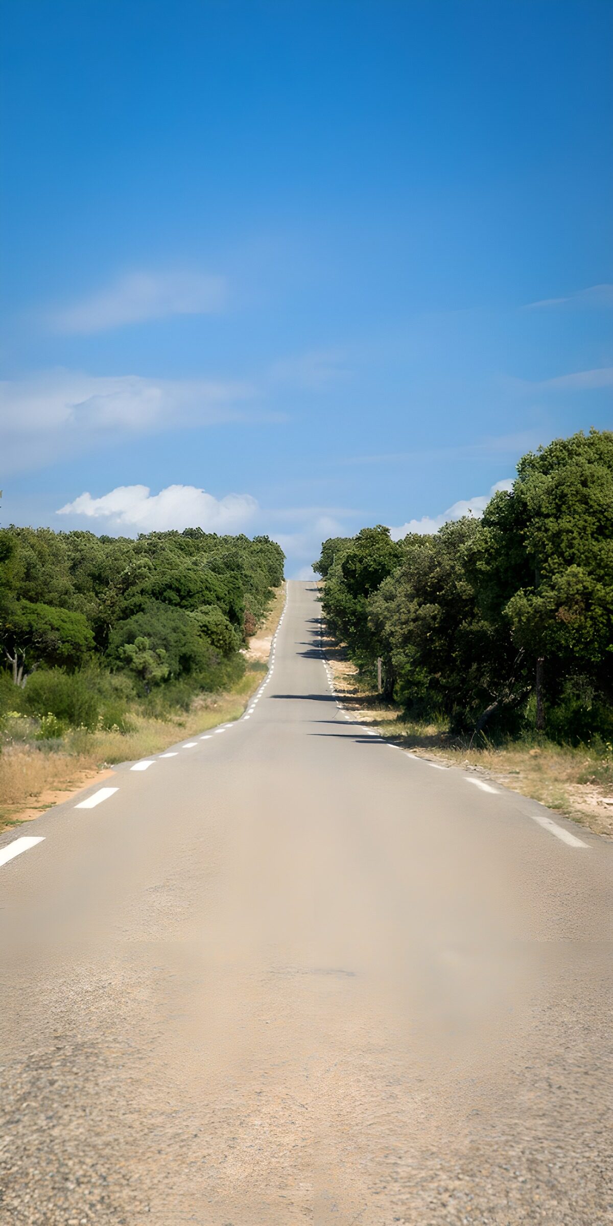 PDGIT9217843: Strada di campagna sotto il cielo blu