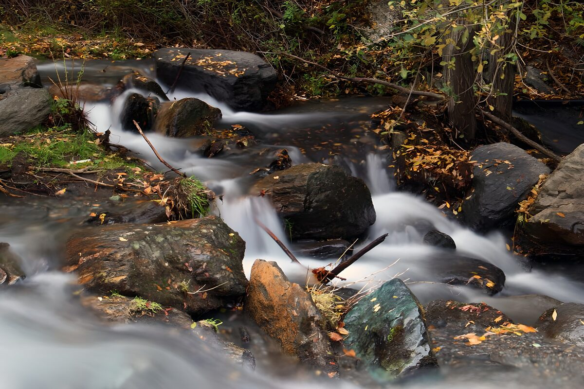PDGIT7392247: Torrente tra i massi d’autunno