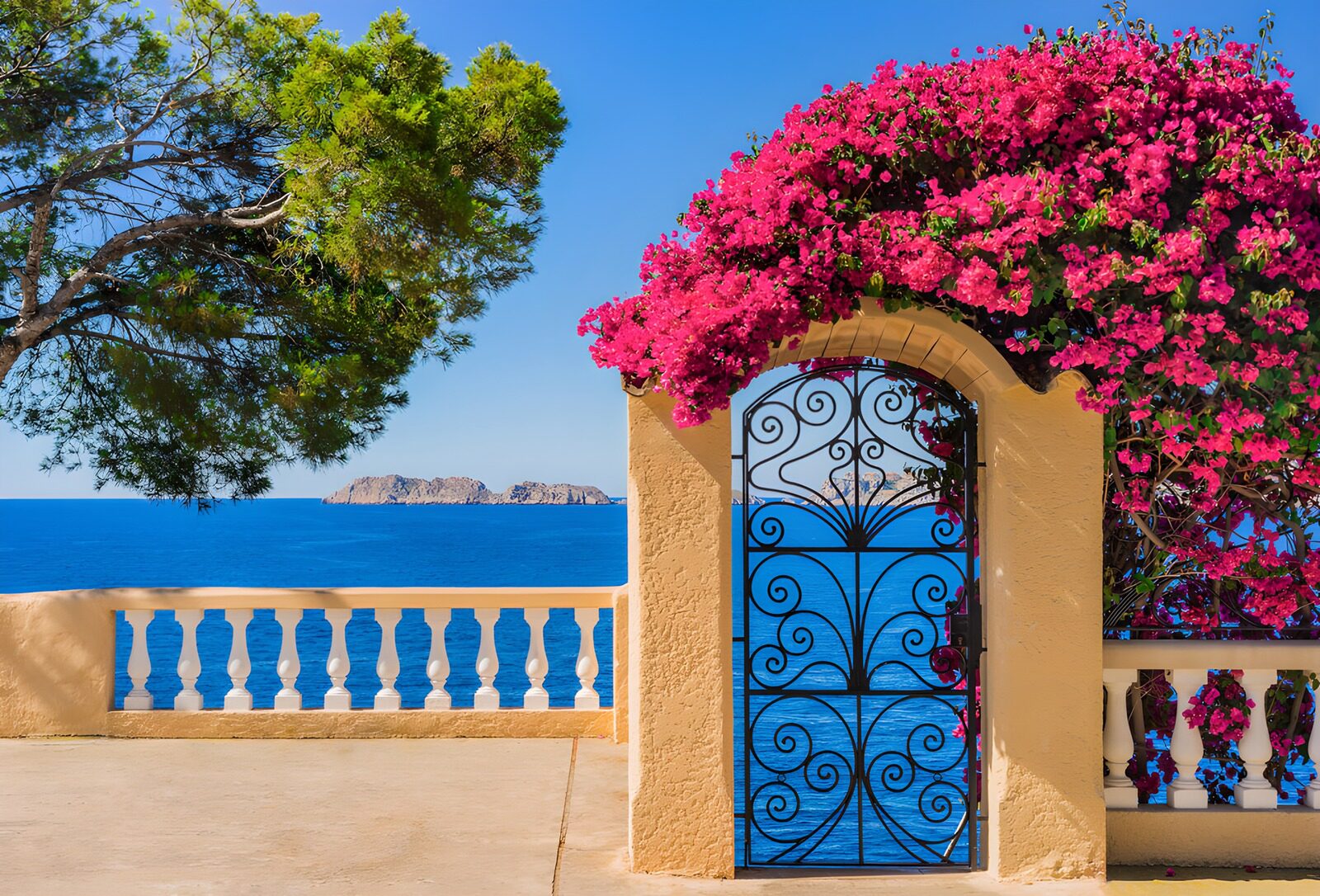 PDGIT9040375: Terrazza al sole tra mare e bouganville