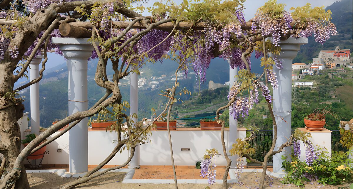 PDGIT5961764: Terrazza al sole sotto il glicine