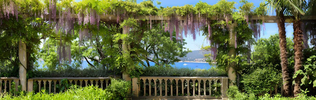 PDGIT1363588: Pergola di glicine con vista sul mare