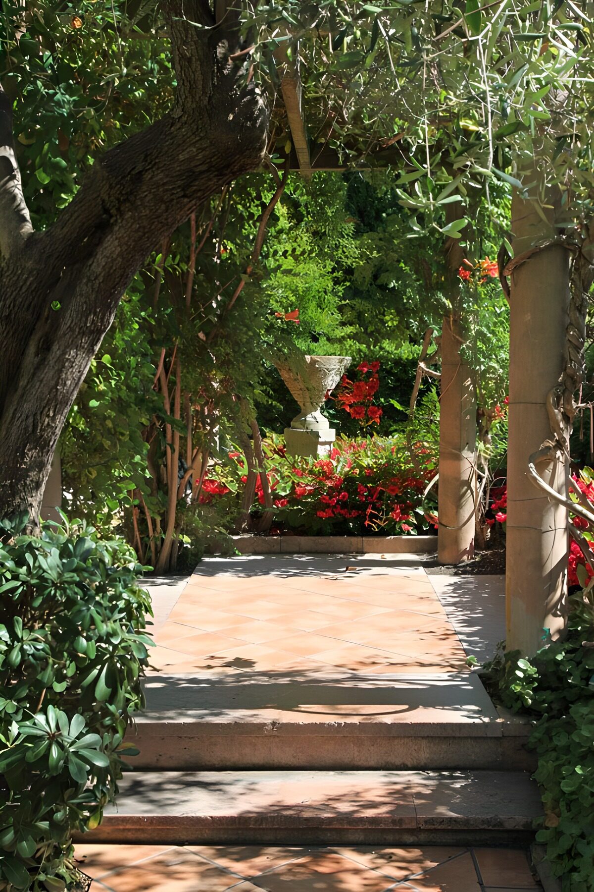PDGIT6694706: Gradini in cotto tra ombre e fiori
