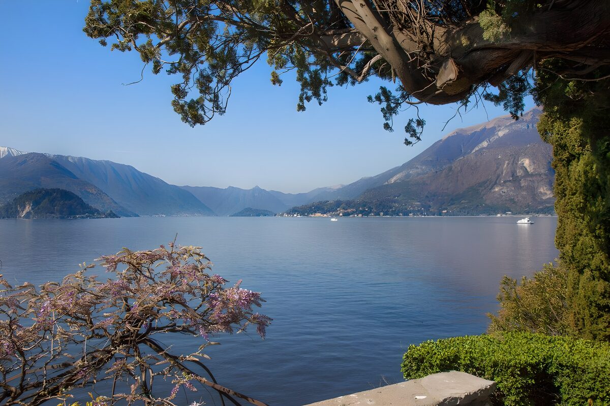Lago e montagne tra i rami in fiore