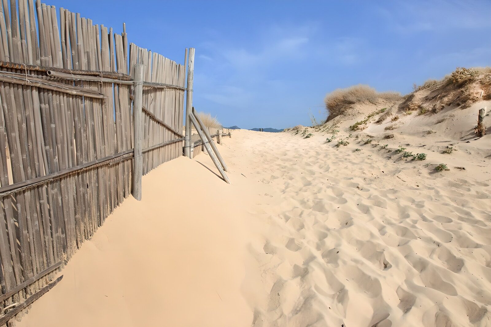 PDGIT3617526: Sentiero tra dune e staccionata al sole