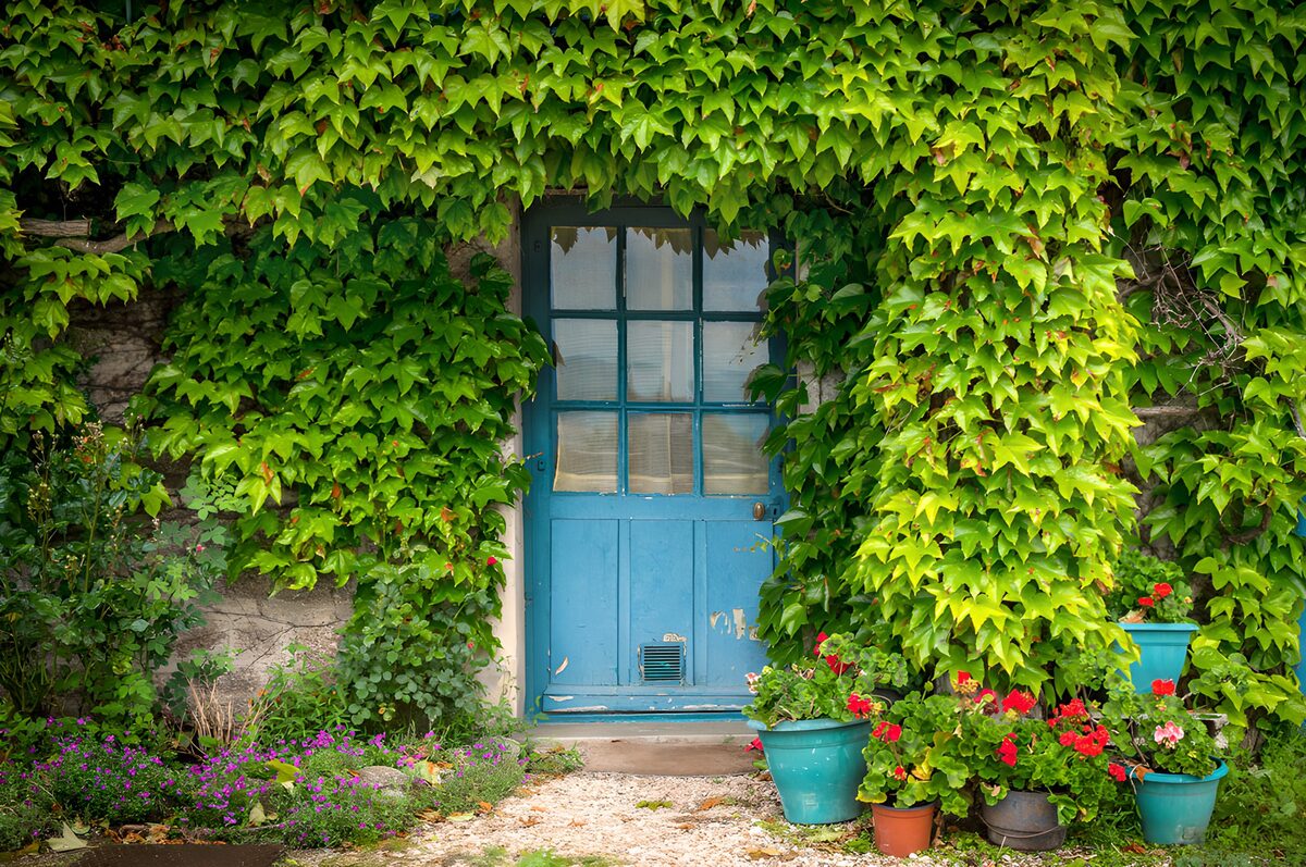 Porta turchese tra rampicanti e fiori