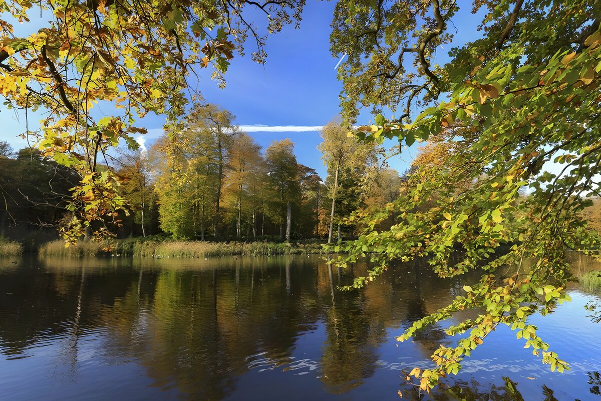 PDGIT8517946: Lago d’autunno tra rami e riflessi