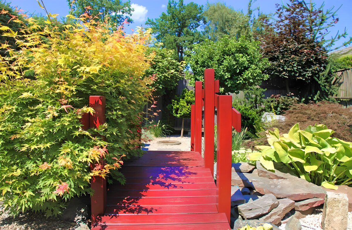 PDGIT6546698: Ponte rosso nel verde del giardino