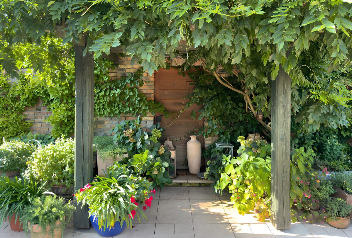PDGIT2476805: Patio in ombra tra vasi e rampicanti