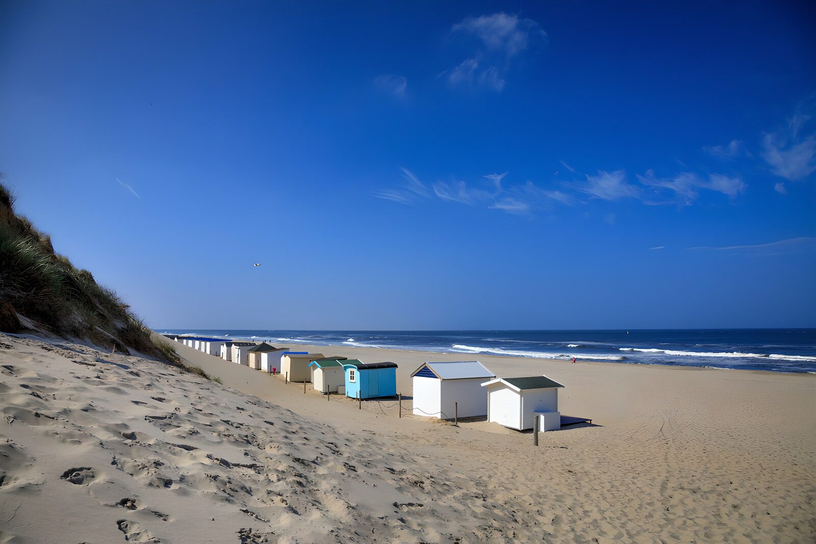 PDGIT8311858: Cabine sulla spiaggia al sole