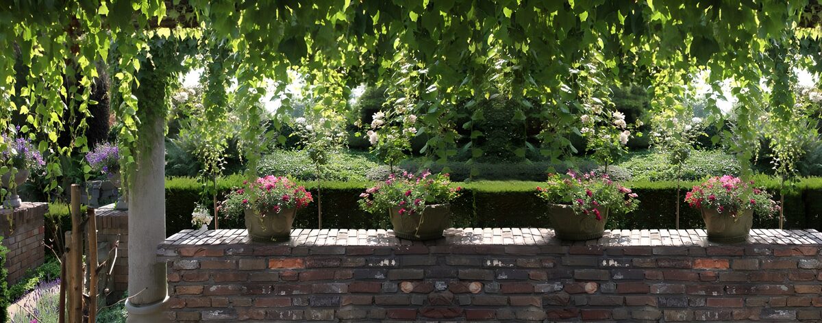 PDGIT4022084: Fiori rosa sul muretto in ombra