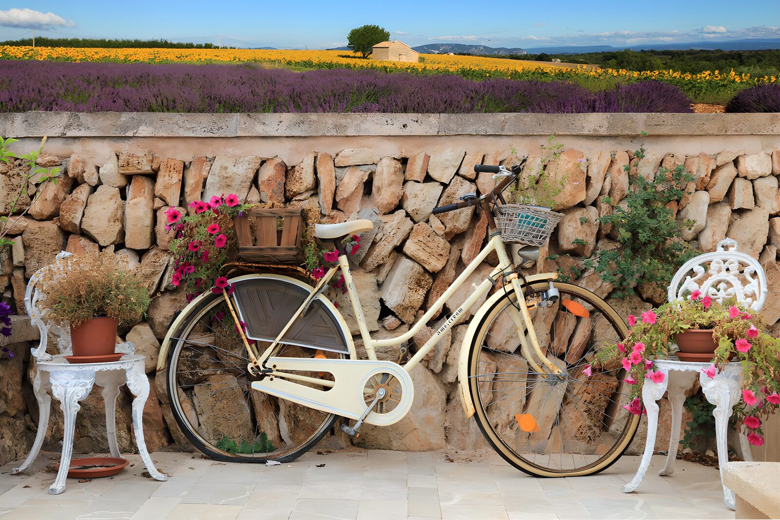 PDGIT3277619: Bicicletta color crema e fiori al sole