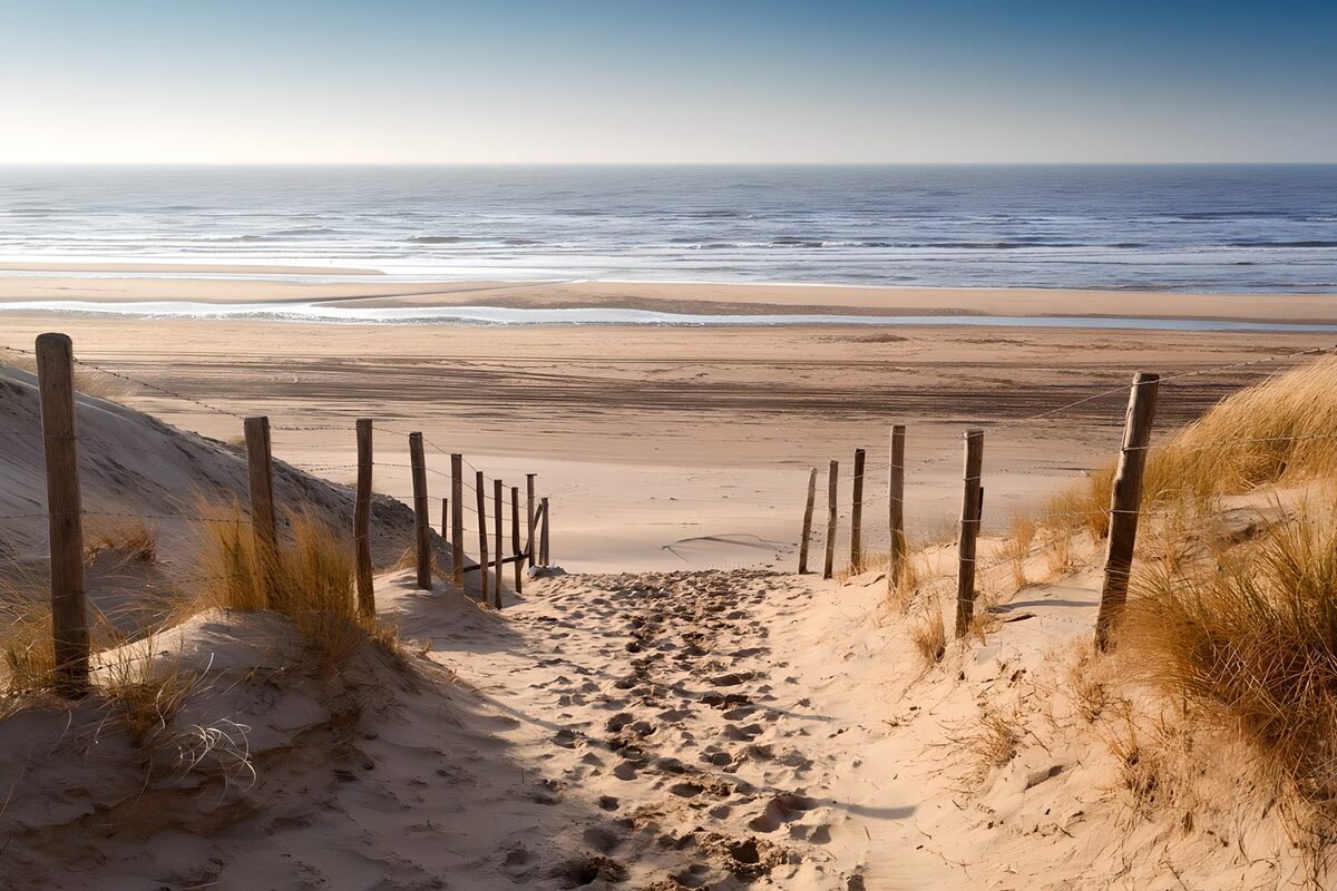 PDGIT1054587: Sentiero tra le dune verso il mare calmo