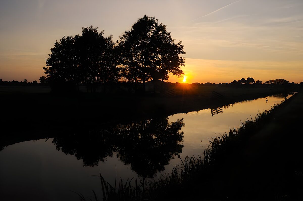 PDGIT8000257: Alberi e riflessi sul canale al tramonto