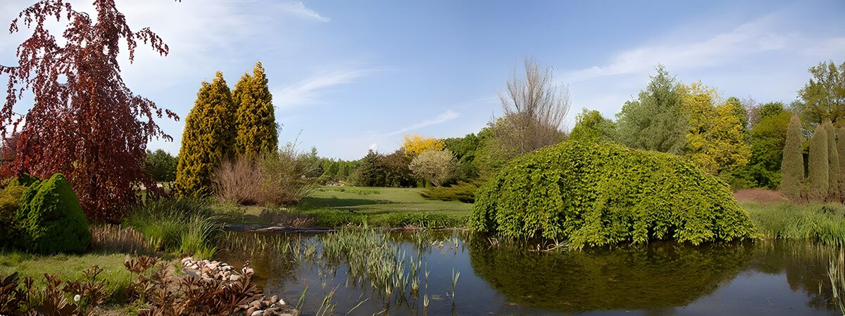 Giardino curato con stagno e riflessi