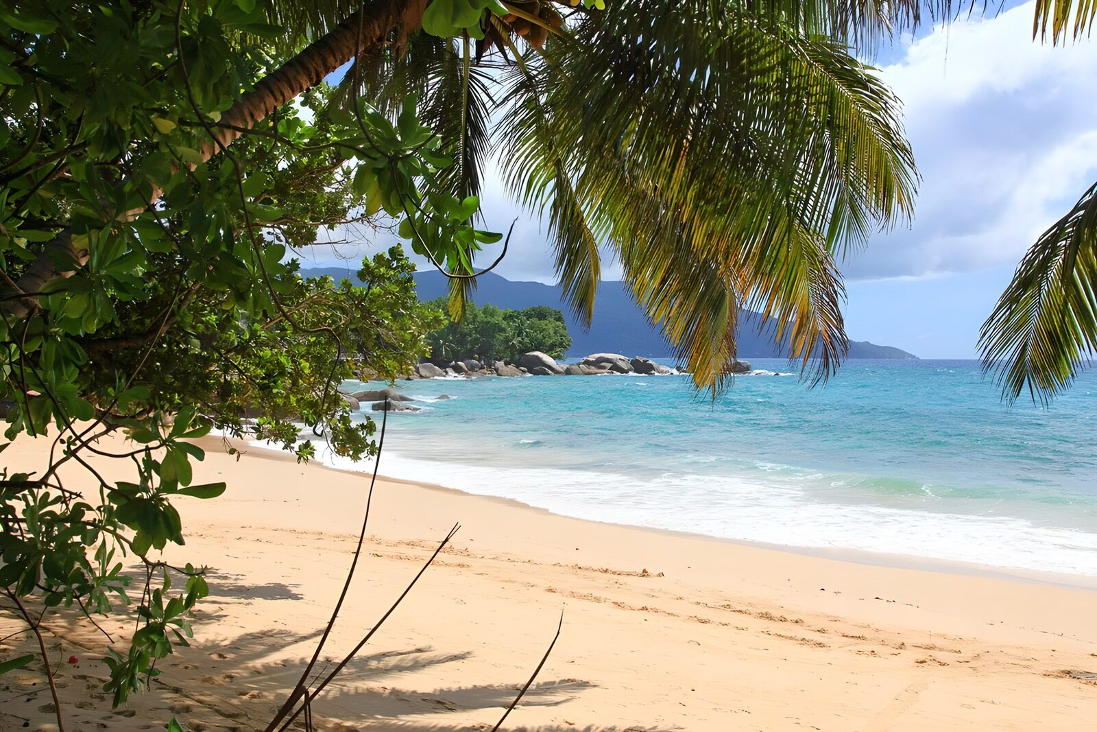 PDGIT7723122: Spiaggia tra palme, rocce e mare turchese