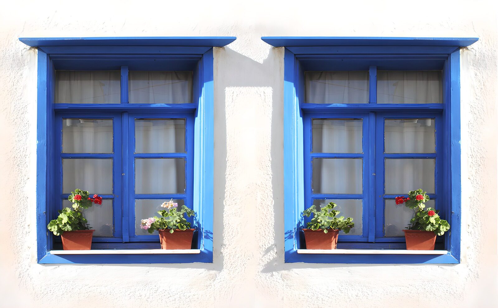 PDGIT7185063: Due finestre blu con fiori al sole