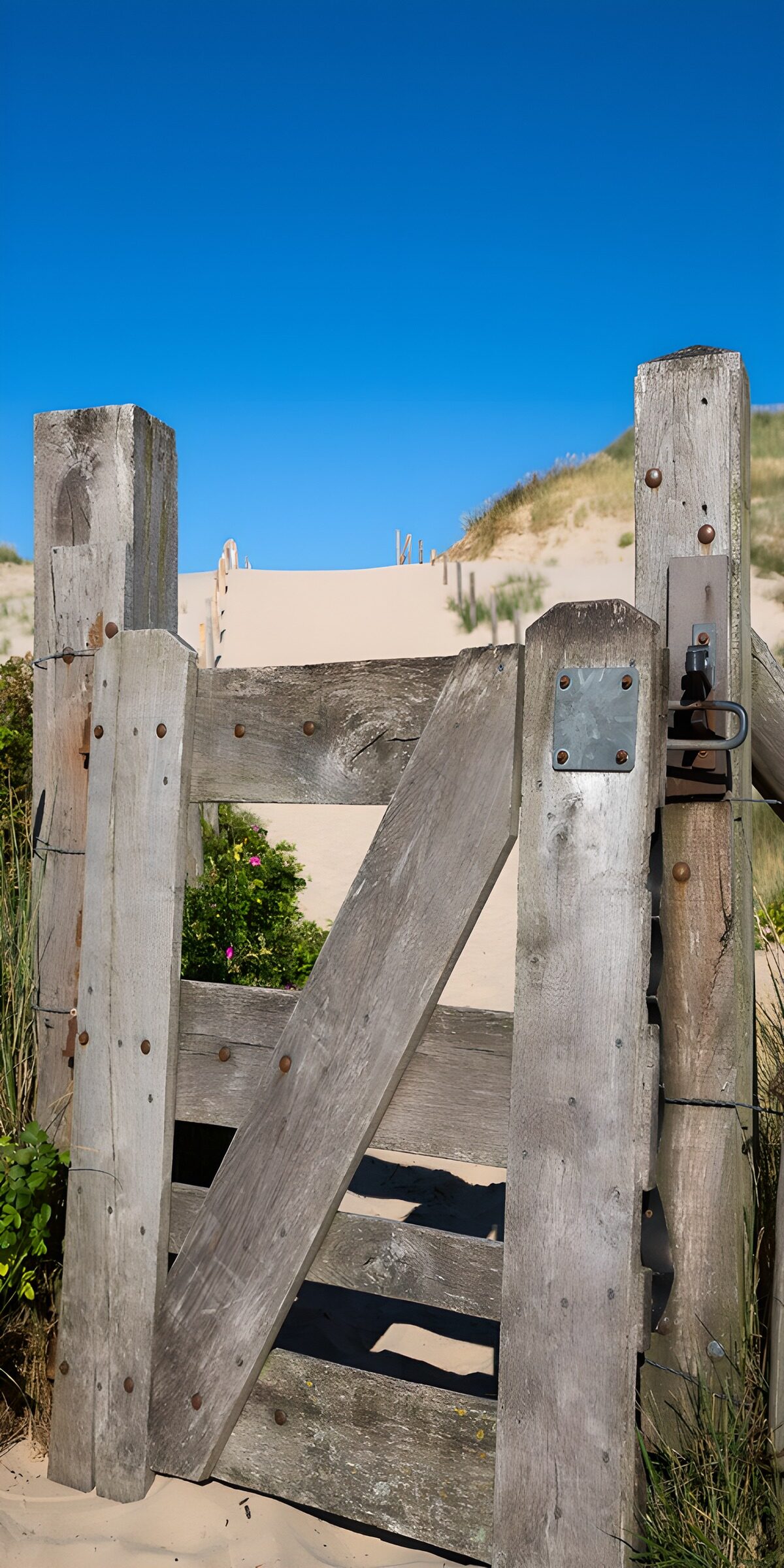 PDGIT5749626: Cancello di legno tra le dune al sole