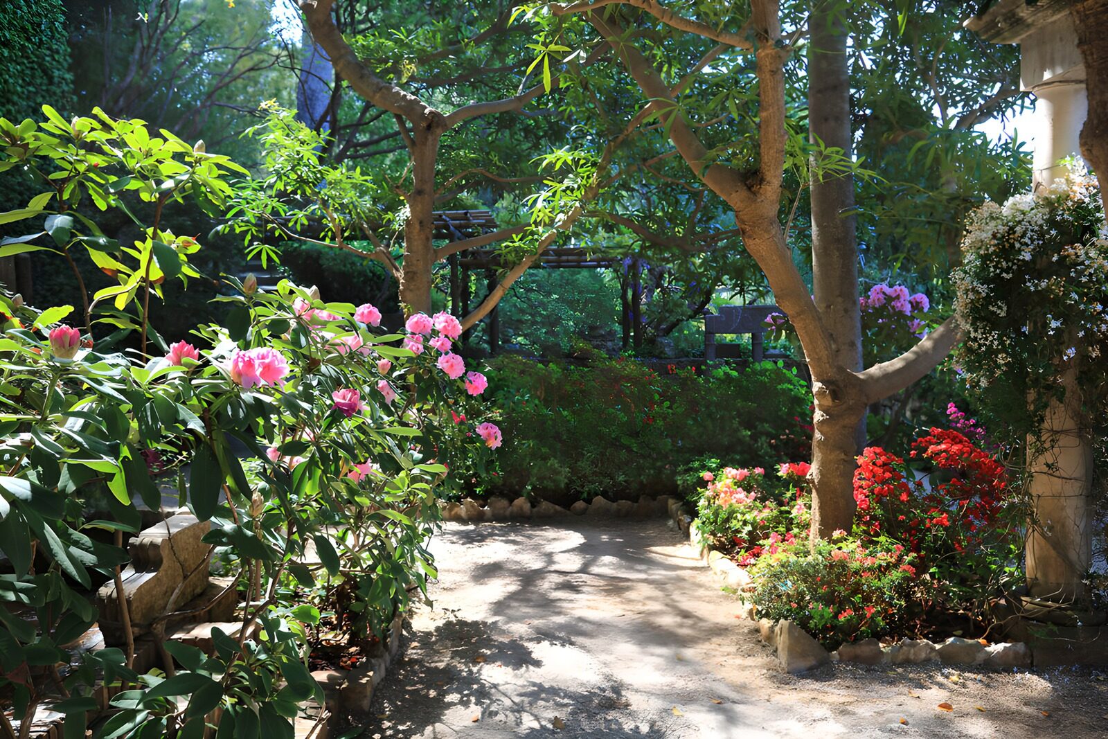 PDGIT3188076: Vialetto di ghiaia tra fiori e ombre