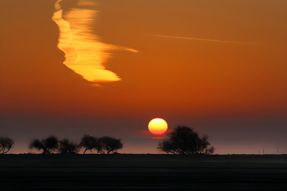 PDGIT6683152: Sole al tramonto e alberi in ombra