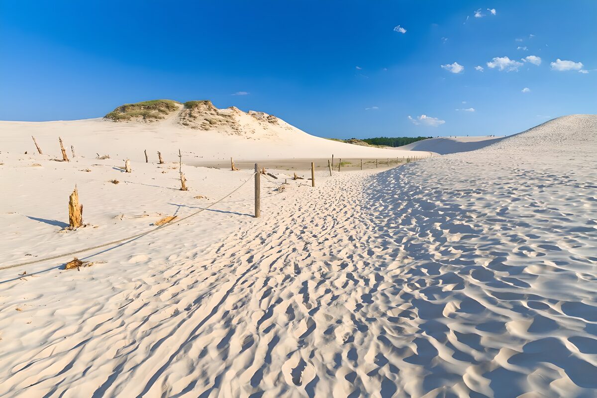 PDGIT8639494: Dune chiare e sentiero sotto il cielo blu