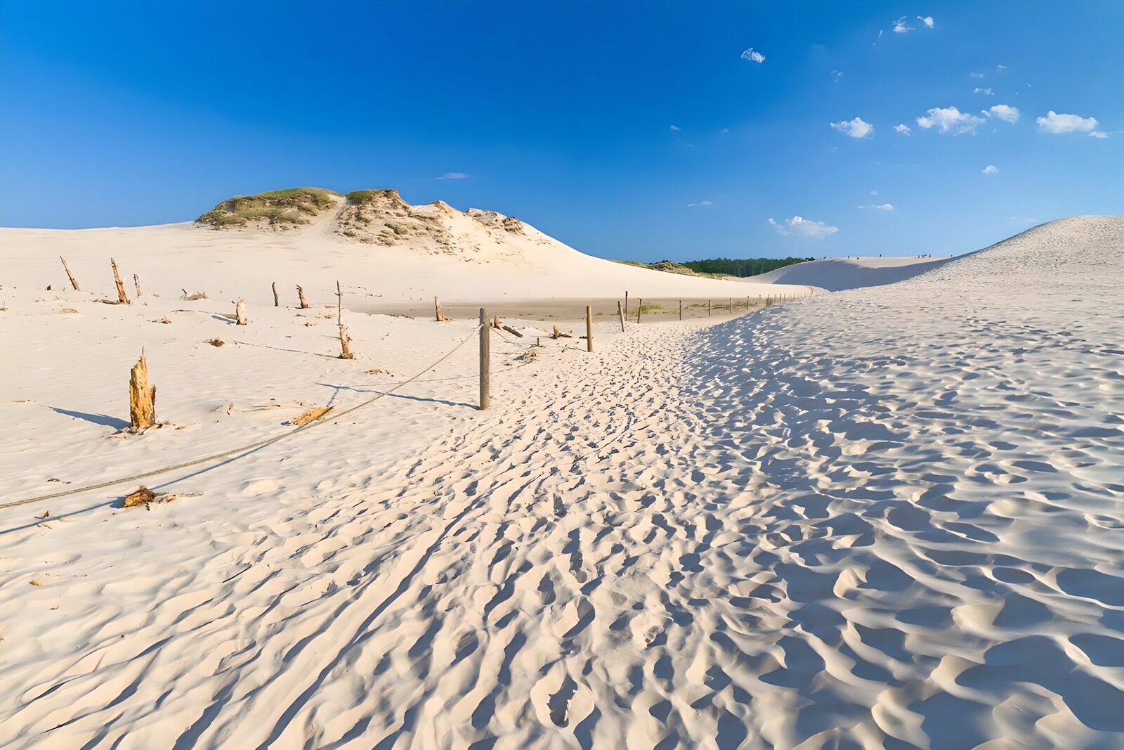 PDGIT8639494: Dune chiare e sentiero sotto il cielo blu