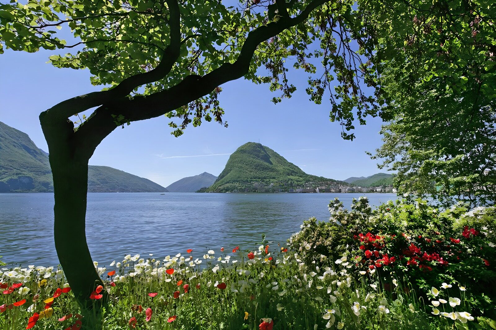 PDGIT3963282: Giardino fiorito sul lago d'estate
