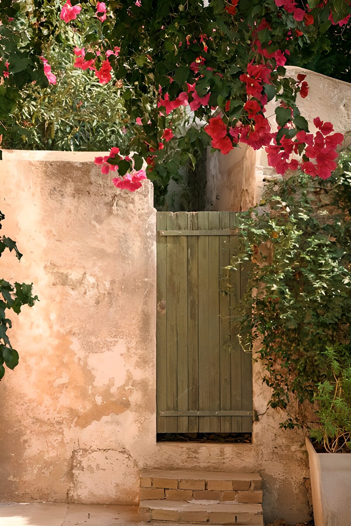 PDGIT3458338: Cancello in legno tra muri e bougainvillea