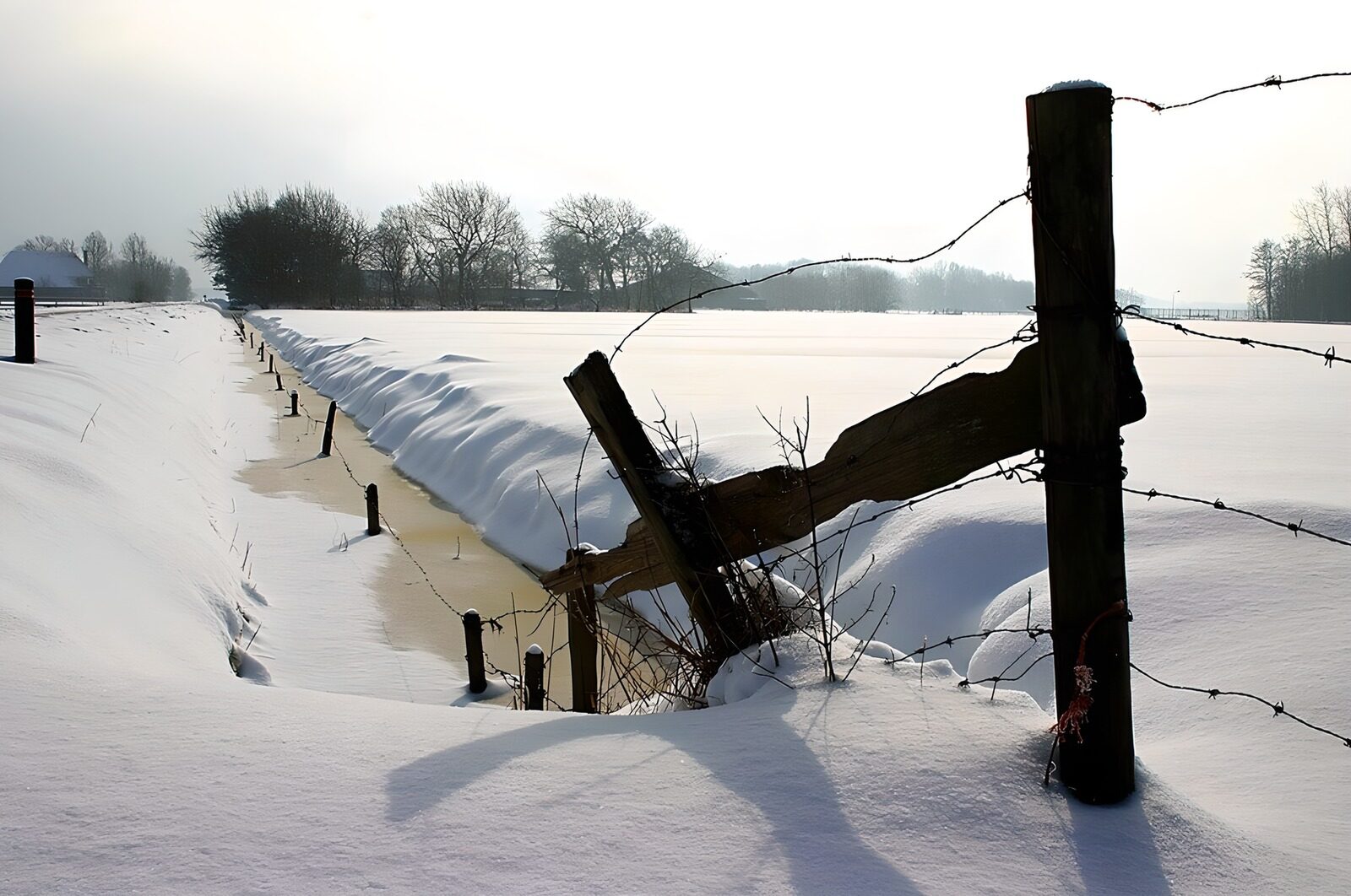 PDGIT9856087: Fosso ghiacciato nella campagna innevata
