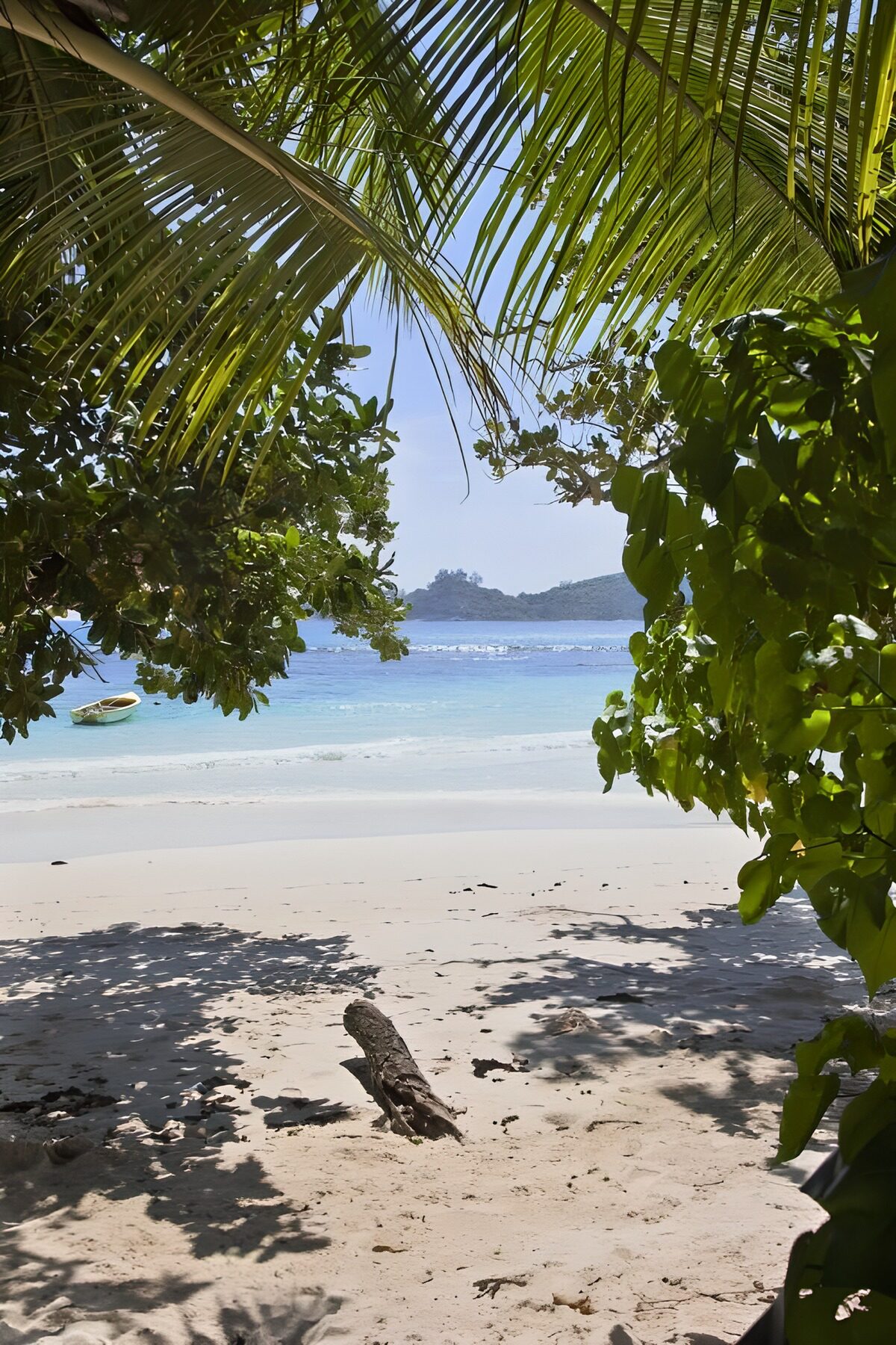 PDGIT9998583: Spiaggia tropicale tra palme e ombre