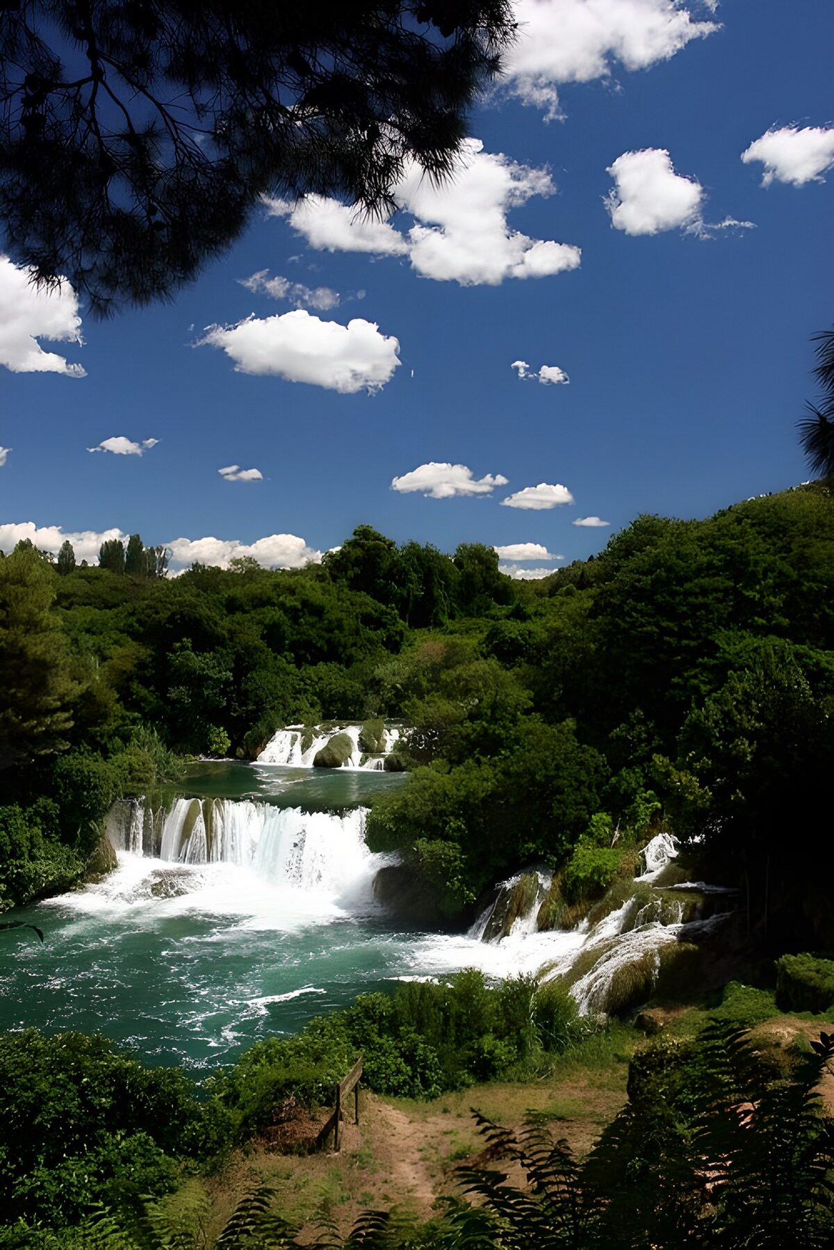 PDGIT3135073: Cascate nel bosco sotto il cielo estivo