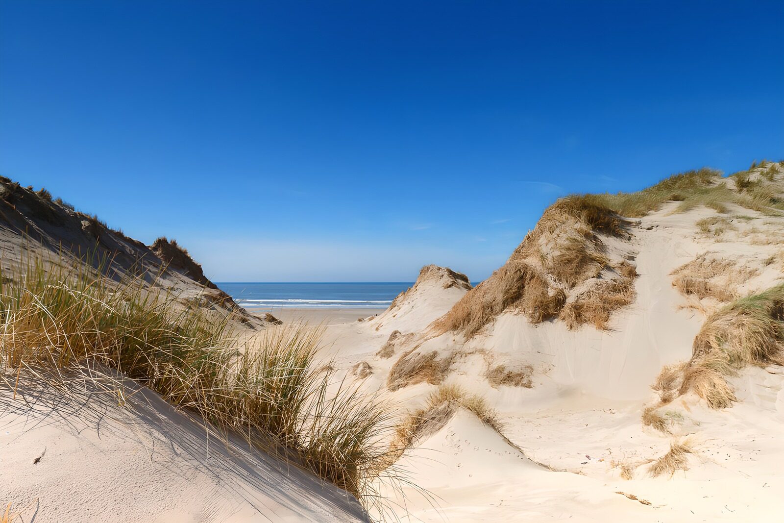 PDGIT7932955: Dune e mare sotto un cielo terso