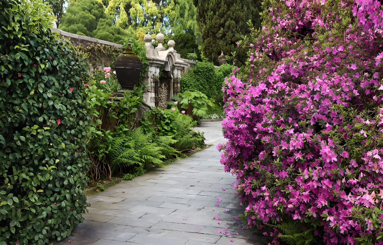PDGIT8901135: Sentiero in pietra tra i fiori rosa