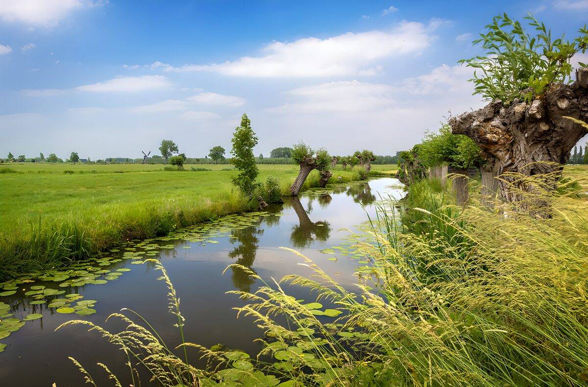 Canale tra prati e salici sotto le nuvole