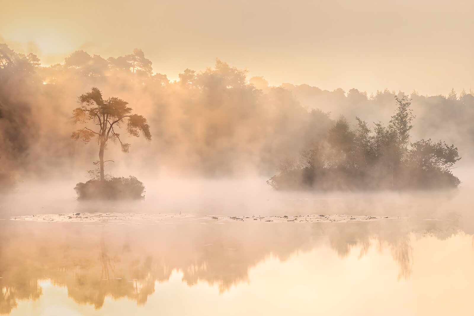 PDGIT4435099: Lago e isole nella nebbia dell’alba