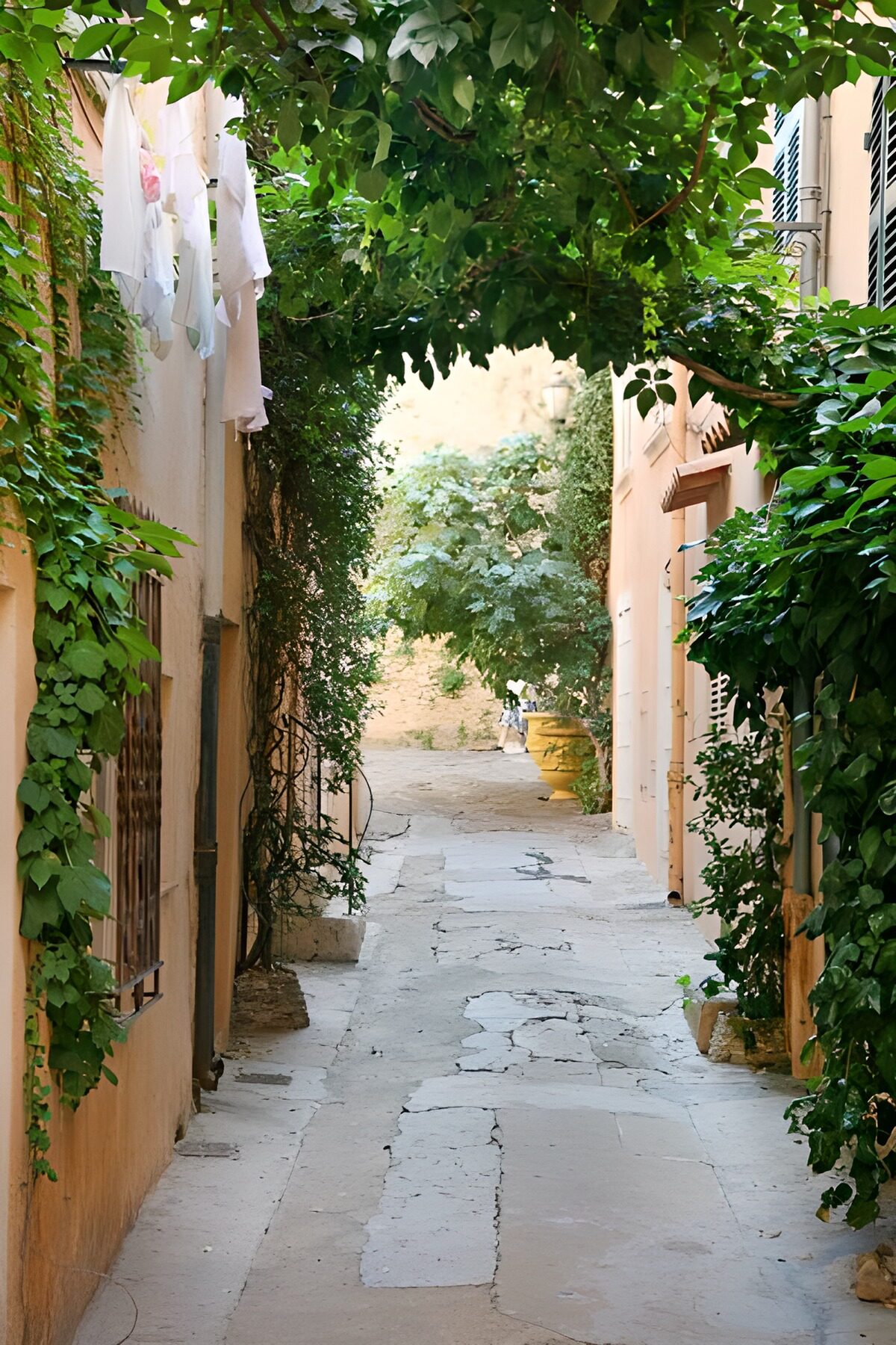 PDGIT8423660: Vicolo lastricato tra muri e rampicanti