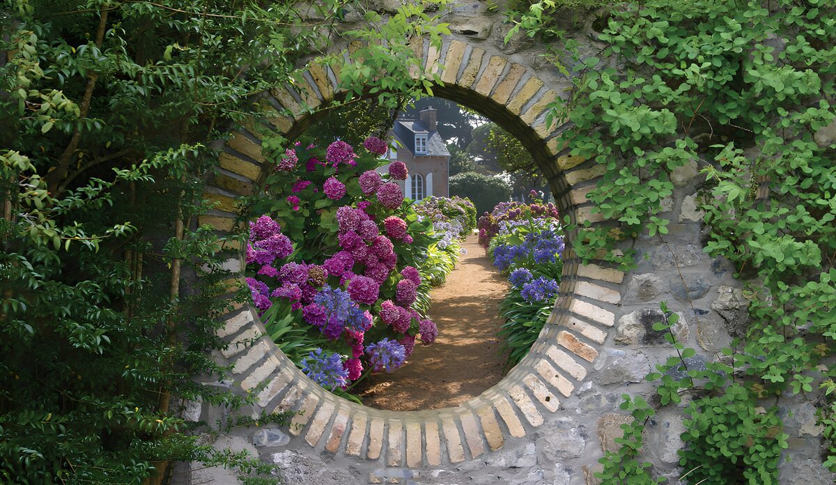 Ortensie oltre il cerchio di pietra