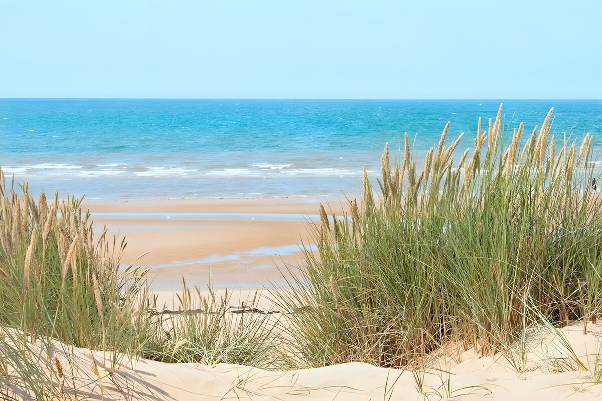 PDGIT3167206: Dune erbose sul mare turchese