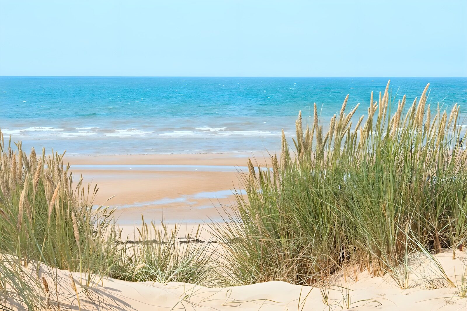 PDGIT3167206: Dune erbose sul mare turchese