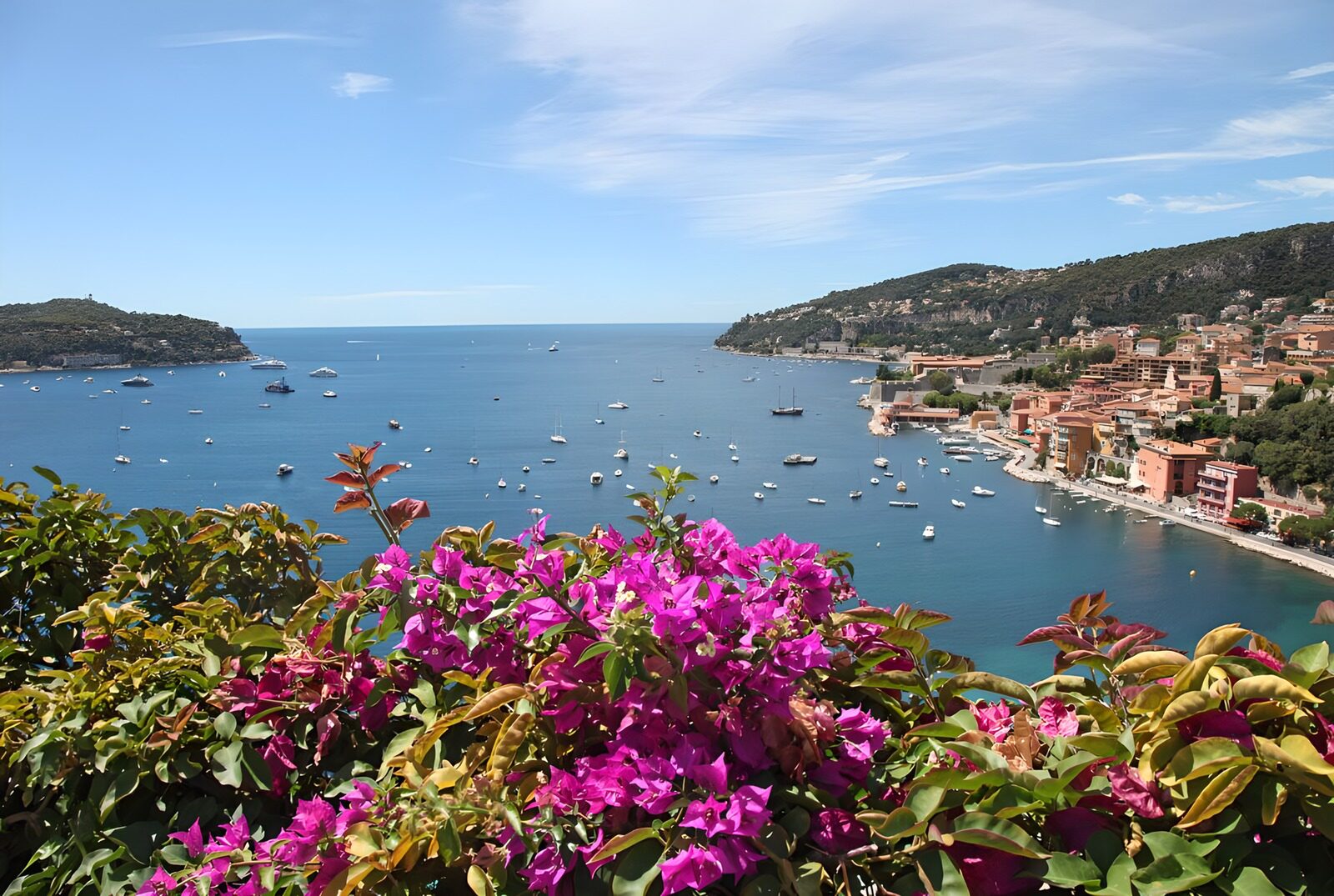 PDGIT7207231: Barche nella baia e bougainvillea rosa