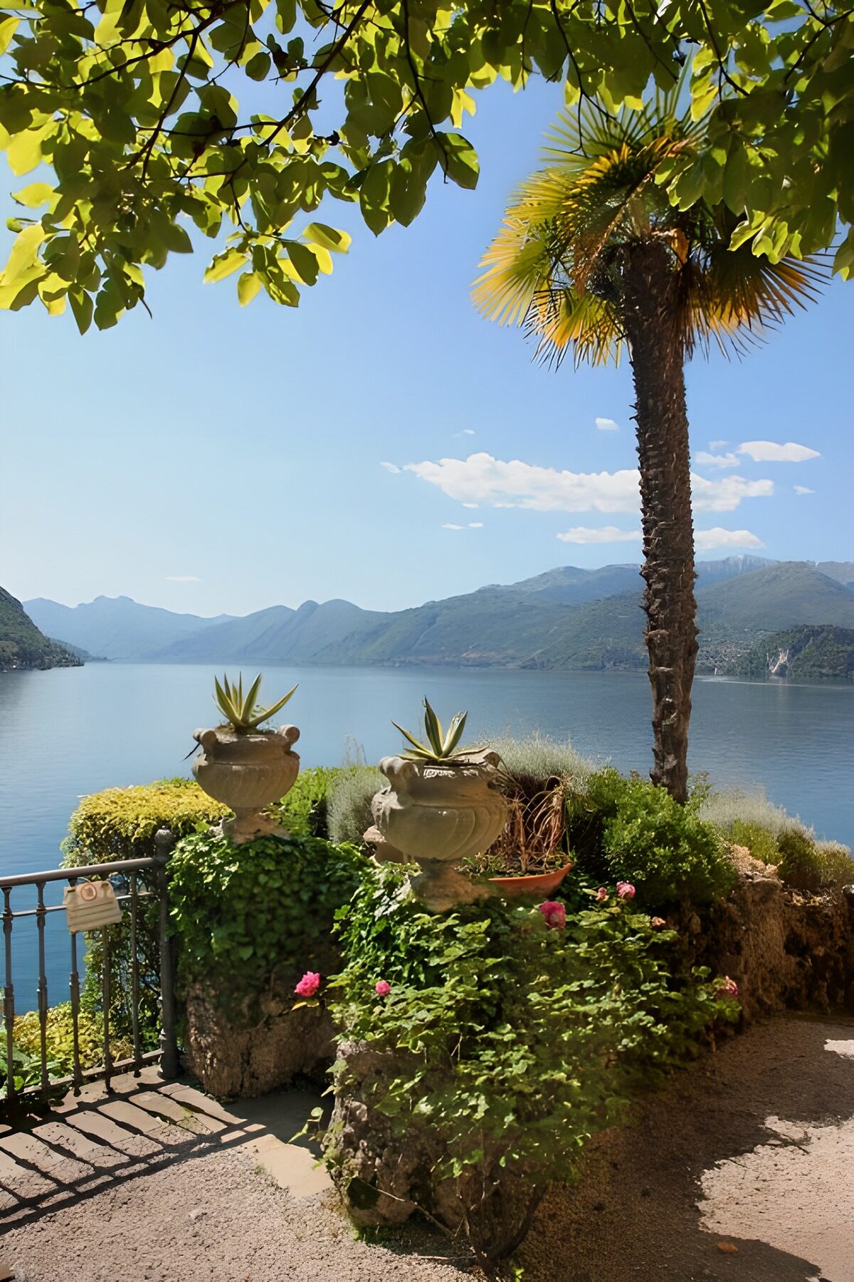 PDGIT3957852: Terrazza fiorita sul lago al sole