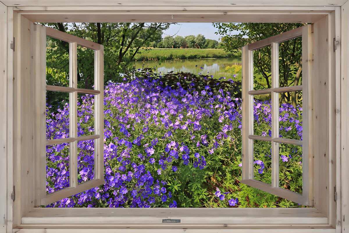PDGIT9887675: Fiori viola, una finestra sulla quiete